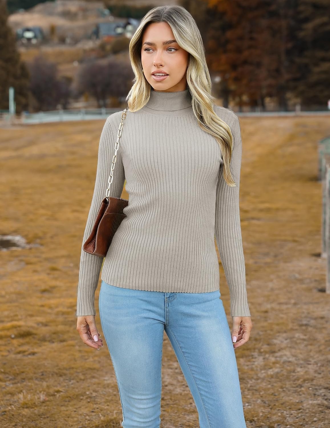 image:imageZeagoo Womens Turtleneck Sweaters 2026 Fall Fitted Long Sleeve Basic TopsGrey