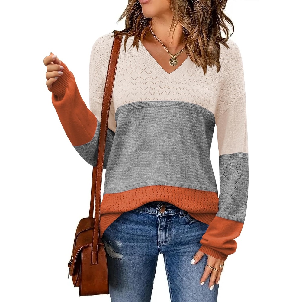 image:imageZeagoo Sweaters for Women Long Sleeve Tops V Neck Outfits Fall ClothesColorblock 278