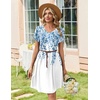 Zeagoo Summer Dresses for Women Casual A Line Dress 2026 V Neck Short Dresses Floral Sundress Pleated Boho Dress(Blue Printed)