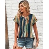 Zeagoo Women Tops Short Sleeve T Shirts V Neck Dressy Casual Work Blouses(Cx289-multicolored)