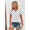 Zeagoo Women Tops Short Sleeve T Shirts V Neck Dressy Casual Work Blouses(Jh592-polka Dots)