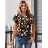 Zeagoo Women Tops Short Sleeve T Shirts V Neck Dressy Casual Work Blouses(Ws116)