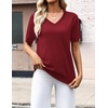 Zeagoo Womens Short Sleeve Sweaters Summer V Neck Business Casual Knit Tops(Wine Red)