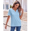 Zeagoo Womens Summer Tops Casual Short Sleeve V Neck T Shirts Dressy Blouse(Blue)