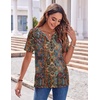Zeagoo Womens Summer Tops Casual Short Sleeve V Neck T Shirts Dressy Blouse(Multicolor 721)