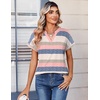 Zeagoo Womens Tops Short Sleeve Summer V Neck Shirts Work Casual Blouses(Striped 669)