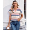 Zeagoo Womens Tops Short Sleeve Summer V Neck Shirts Work Casual Blouses(Striped 669)