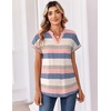 Zeagoo Womens Tops Short Sleeve Summer V Neck Shirts Work Casual Blouses(Striped 669)
