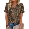 Zeagoo Womens Tops Short Sleeve V Neck Tee Shirts Cute Dressy Casual(Leopard Print An136)