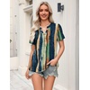 Zeagoo Womens Tops Short Sleeve V Neck Tee Shirts Cute Dressy Casual(Multicolor-cx289)