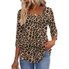 Leopard An284