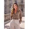 Zeagoo Satin Blouses for Women Casual Long Sleeve Button Down Silk Shirts Dressy Business Work Tunic Top(Brown)