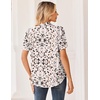 Zeagoo Women Button Down Shirts Puff Short Sleeve Blouses Chiffon Tops(Apricot-an443)