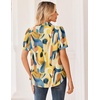 Zeagoo Women Button Down Shirts Puff Short Sleeve Blouses Chiffon Tops(Multicolor-jh579)