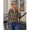 Zeagoo Long Sleeve Shirts for Women Casual V Neck Fall Tops Summer Blouses(Leopard)