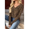 Zeagoo Women Long Sleeve Tops Dressy Casual V Neck Shirt Fall Work Blouse(An136)