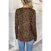 Zeagoo Women Long Sleeve Tops Dressy Casual V Neck Shirt Fall Work Blouse(An136)