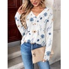 Zeagoo Women Long Sleeve Tops Dressy Casual V Neck Shirt Fall Work Blouse(Bf112)