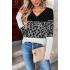 Zeagoo Women Long Sleeve Tops Dressy Casual V Neck Shirt Fall Work Blouse(Jh519)