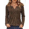 Zeagoo Womens Long Sleeve Tops 2026 V Neck Pleated Shirts Dressy Casual Tunic Blouses Loose Fit Fall Fashion Clothes(An427)