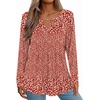 Zeagoo Womens Long Sleeve Tops 2026 V Neck Pleated Shirts Dressy Casual Tunic Blouses Loose Fit Fall Fashion Clothes(Xh518)