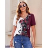 Zeagoo Womens Summer Tops 2026 Puff Short Sleeve Shirts V Neck Tunic blouse(Bf183)