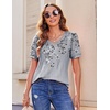 Zeagoo Womens Summer Tops 2026 Puff Short Sleeve Shirts V Neck Tunic blouse(Dh62)