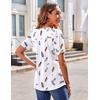Zeagoo Womens Summer Tops 2026 Puff Short Sleeve Shirts V Neck Tunic blouse(Dw170)