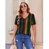 Zeagoo Womens Summer Tops 2026 Puff Short Sleeve Shirts V Neck Tunic blouse(Stripe Tz275)