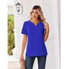 Zeagoo Womens Summer Tops V Neck Short Sleeve Shirts Dressy Casual Blouse(Sky Blue)