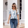 Zeagoo Womens Summer Tops V Neck Short Sleeve Shirts Dressy Casual Blouse(Zr229)
