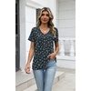 Zeagoo Womens V-Neck Tops Summer Casual Short Sleeve Tshirts S-3XL(Zz-xh522)