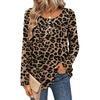 Leopard-an284