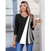 Zeagoo 3/4 Length Sleeve Womens Tops V Neck Pleated Boho Floral Blouses(Boho Jh540)
