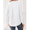 Zeagoo Women Blouses Chiffon Long Sleeve Button Down Shirts Business Tops(White (Sheer))