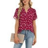 Zeagoo Womens Dressy Casual Chffon Shirts Short Sleeve V Neck Work Blouse(Berryflake)