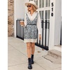 Zeagoo Womens Tank Sweater Dress Sweater Vest Knitted Pullovers Sweaters 2025(Leopard)
