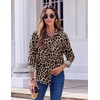 Zeagoo Button Down Shirts for Women Dressy Printed Long Sleeve Blouse(Leopard)