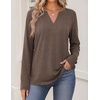 Zeagoo Womens Tops Long Sleeve V Neck Tee Shirts Cute Dressy Casual(B-brown)