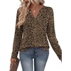 Zeagoo Womens Tops Long Sleeve V Neck Tee Shirts Cute Dressy Casual(Leopard Print An136)