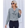 Zeagoo Blouses for Women Bow Tie Neck Chiffon Long Sleeve Shirt Work Tops(Cx285)