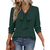 Zeagoo Blouses for Women Bow Tie Neck Chiffon Long Sleeve Shirt Work Tops(Jh651)