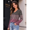 Zeagoo Womens Shirts Long Sleeve Tops V Neck Casual Basic Tee Fall Outfits(Vintage Ditsy Floral)