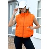 Zeagoo Womens Puffer Vest Ladies Sleeveless Zip Up Outerwear(Burnt Orange)